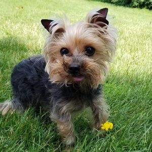 Meet your Posher, Raquel